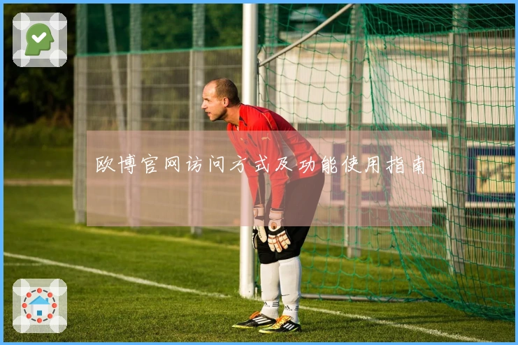 欧博官网访问方式及功能使用指南
