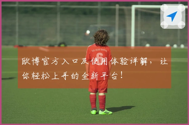 欧博官方入口及使用体验详解，让你轻松上手的全新平台！