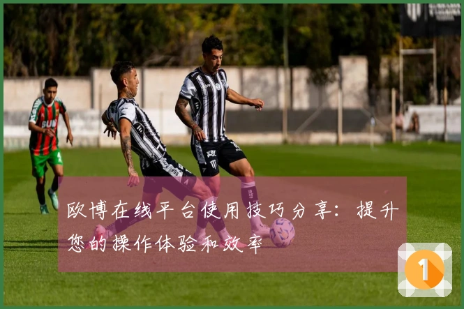 欧博在线平台使用技巧分享：提升您的操作体验和效率