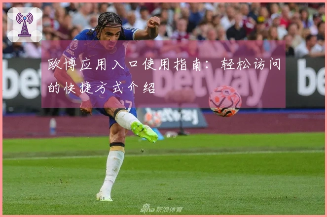 欧博应用入口使用指南：轻松访问的快捷方式介绍