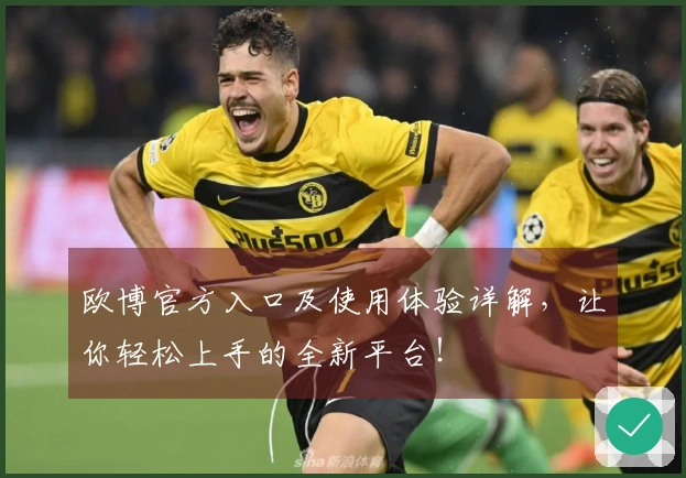 欧博官方入口及使用体验详解，让你轻松上手的全新平台！