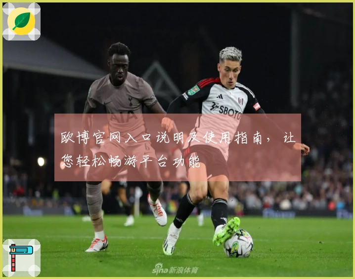 欧博官网入口说明及使用指南，让您轻松畅游平台功能